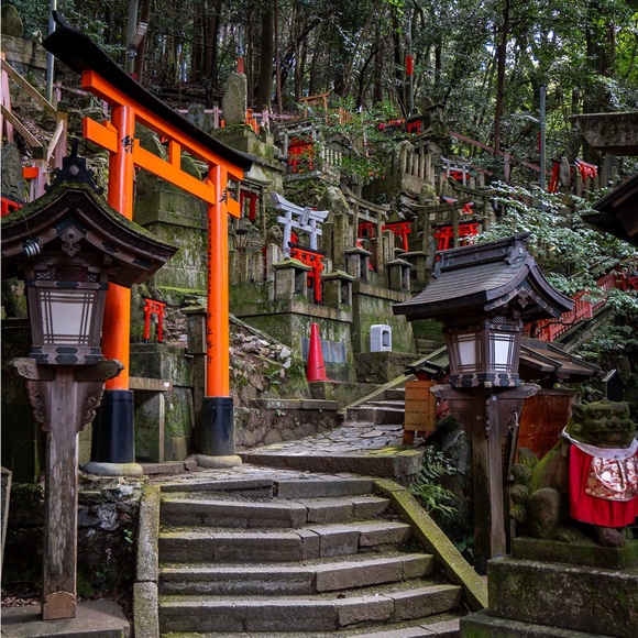 Tan stretchy shorts medium euc ona - Picture 7 of 8